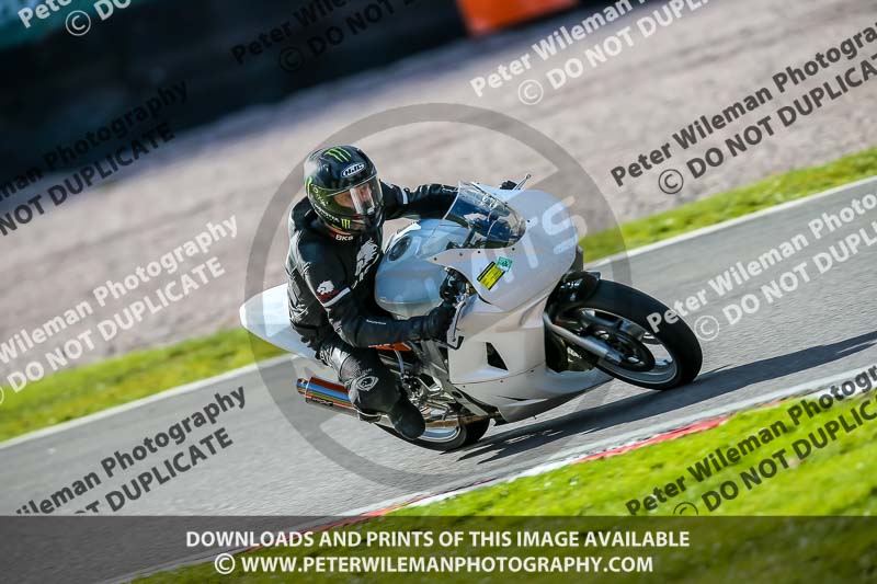 Oulton Park 20th March 2020;PJ Motorsport Photography 2020;anglesey;brands hatch;cadwell park;croft;donington park;enduro digital images;event digital images;eventdigitalimages;mallory;no limits;oulton park;peter wileman photography;racing digital images;silverstone;snetterton;trackday digital images;trackday photos;vmcc banbury run;welsh 2 day enduro